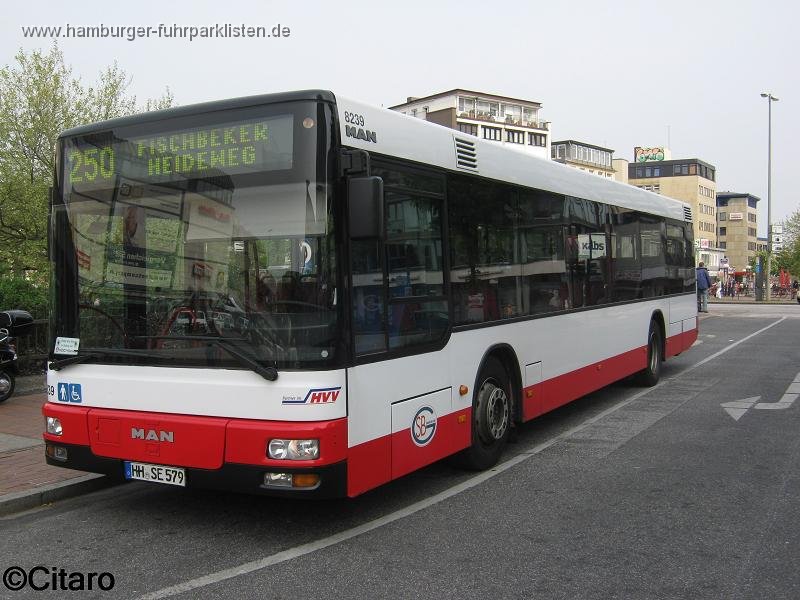 01) 8239-32,SBG,CO.jpg